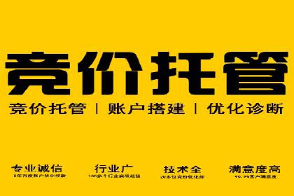 SEM代理如何助力企业实现ROI最大化